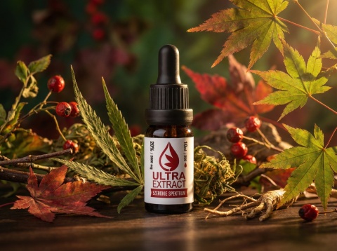 OLEJEK KONOPNY 20% | 2000 mg | THC 0% | SZEROKIE SPEKTRUM | Polskie CBD